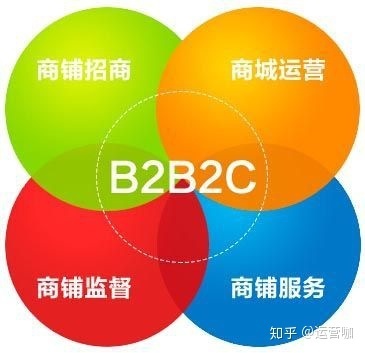 B2B2C如何运营?如何盈利?